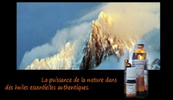 Formule d'huiles essentielles anti-grippe "SP&Eacute;CIAL"